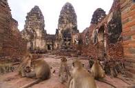Private tour to Ayutthaya and Lopburi Monkey Temple (from Bangkok ...