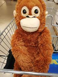 Monkey In Ikea Ikea Monkey Monkey Ikea