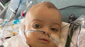 Fundraiser by Samantha Flanagan : Stand with Henry: Liver Transplant Fund