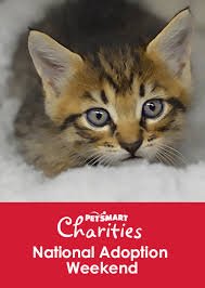 Reviews from petsmart employees about working as a volunteer at petsmart. Petsmart National Adoption Weekend Is May 17 19 Furkids Georgia S Animal Rescue No Kill Shelter