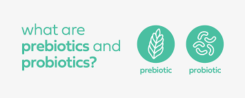 Can You Take Prebiotics and Probiotics Together? | Aguulp