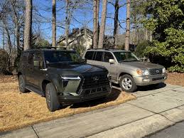 Image result for Nori Green 2024 LC