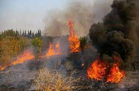 Συναγερμός σήμανε στην πυροσβεστική το απόγευμα της πέμπτης, 6 ιουλίου για πυρκαγιά που ξέσπασε στο θορικό λαύριου αττικής. Fwtia Twra Sto Layrio Ekkenwnontai 3 Oikismoi Eretikos Gr
