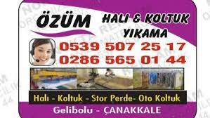 Canakkale Koltuk Yikama