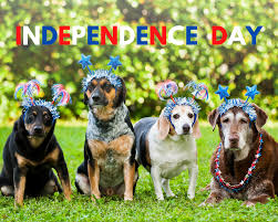 Plaza pet clinic general information. Plaza Pet Clinic Home Facebook