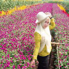 Maybe you would like to learn more about one of these? Visitpandeglang Destinasi Wisata Taman Bunga Bpi Rokoy Pandeglang Yang Satu Ini Mulai Banyak Diperbincangkan Oleh Netizen Karena Keindahannya Yang Luar Biasa Terletak Di Kampung Jambu Kadukaweng Kecamatan Kaduhejo Kabupaten Pandeglang Ini