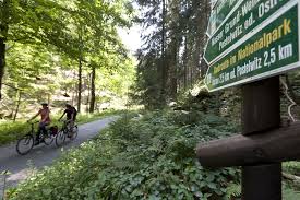 Radfahren Im Elbsandsteingebirge Elbsandsteingebirge Sachsen Radfahren