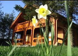 Check spelling or type a new query. River Valley Logcabins Ballyconnell Home Facebook