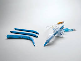 Image result for Trachyandra burkei