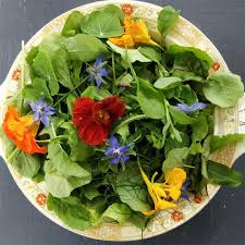 Image result for Nasturtium