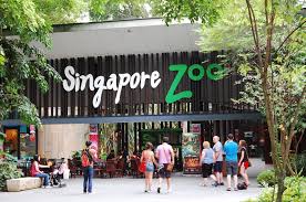 Ini yang kami nak share, 5 perkara yang menarik tentang kem cuti sekolah kali ini. 1 Cuti Sekolah Kemana Moh Ke Singapore Zoo Sumijelly Weblog