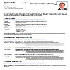 Designed and implemented a new it management model with apple's new york branch, increasing quarterly productivity by 33% and boosting. Model Cv Academic Blue Steven Kendy Pierre