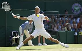 A illustration of the newly crowned wimbledon 2014 mens champion, novak djokovic. Wimbledon 2014 How Andy Murray Produced The Perfect Performance To Beat Novak Djokovic