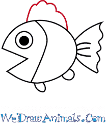 Drawing is about finding and understanding the. How To Draw A Realistic Fish