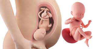 Provádí se v závěru 2. Saptamana 34 De Sarcina Sfatulmamicilor Ro