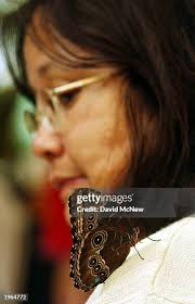 15 Hidden Jungle Walk In Exhibit At Wild Animal Park Stock Photos, High-Res  Pictures, and Images