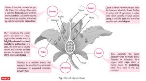 Biology Today 2020 Biology Notes Biology Lessons Biology