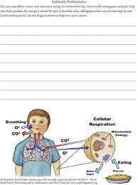 Maybe you would like to learn more about one of these? Cellular Respiration Pdf Free Download