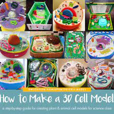 Animal cell/plant cell structure diagram printable (blank). How To Create 3d Plant Cell And Animal Cell Models For Science Class Owlcation