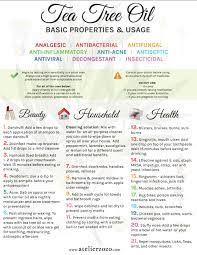 The Basic Properties And 21 Grouped Uses For Tea Tree Essential Oil Melaleuca Alternifolia Exp Essential Oils Essential Oils Aromatherapy Essential Oil Uses