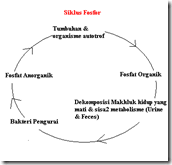 Check spelling or type a new query. 76 Gambar Daur Fosfor Dan Keterangannya Paling Hist Gambar Pixabay