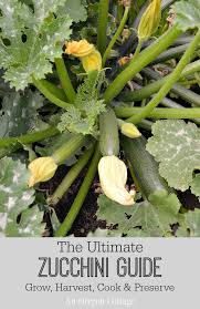 We did not find results for: The Ultimate Zucchini Guide Grow Harvest Cook Preserve With 46 Recipes An Oregon Cottage