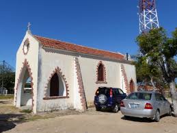 Image result for Helichrysum argyrosphaerum