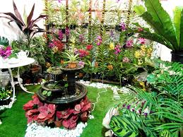 Membekal pokok hiasan tetap dan upacara. 12 Best Landskap Ideas Pokok Bunga Kertas Taman Kolam