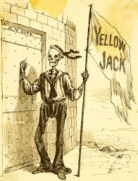 Image result for Yellow Fever
