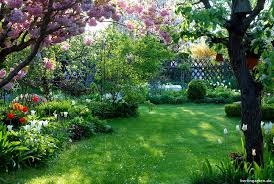 Tipps für den perfekten rasen ndr ratgeber garten. Perfekte Rasenpflege So Individuell Wie Dein Garten Berlingarten