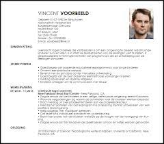 Voorbeeld Cv Leerkracht Lager Onderwijs Livecareer