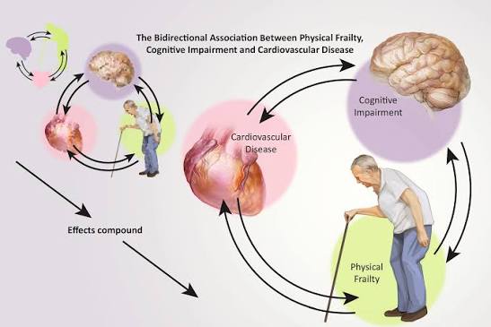 Role of Cognitive Frailty in Older Adults With Cardiovascular Disease |  Journal of the American Heart Association