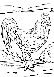 Hühner leben in herden und arbeiten zusammen, um eier zu inkubieren und küken aufzuziehen. Malvorlage Hahn Huhner Bauernhof Kostenlose Ausmalbilder