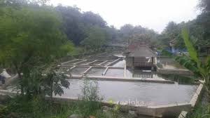 Tanah Murah Ada Kolam Ikan Di Tenjolaya Bogor
