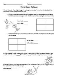 Punnett is a convenient way to predict the genotypes and phenotypes of offspring. 34 Punnett Square Practice Problems Worksheet Answers Free Worksheet Spreadsheet