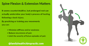 Recognize who, when and which patients will respond best to flexion, extension or neutral spine exercises. Cat Cow Progressions For Optimal Spine Health Family Health Chiropractic