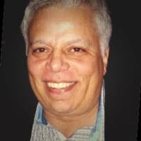 1200+ "Palombo" profiles