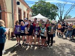 Photo Actualits Montgaillard-Lauragais - ladepeche.fr