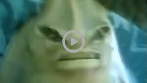 Nah pemenang di episode gagak kemaren udah ada looh, ternyata ibu dan anak yang menang hahayang belum nonton episode kemaren yuk langsung cusss. Baru Terungkap Kebenaran Video Anak Durhaka Yang Dikutuk Jadi Ikan Pari