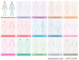 Body Meridians Chart Woman Colors Stock Illustration