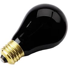 Classic Black Light Bulb Party City