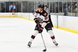 Owen power (born november 22, 2002) is a canadian defenceman for the university of michigan in the ncaa. Owen Power Dobberprospects