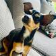 Adoption Mix and Mingle event in Grapevine, TX