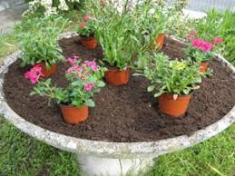 Avec un beau volume comme tu as ça peut être très sympa de faire une composition. Vite Une Vasque Fleurie Pour L Ete