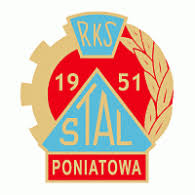 Logo of rks raków częstochowa. Rks Rakow Czestochowa Brands Of The World Download Vector Logos And Logotypes
