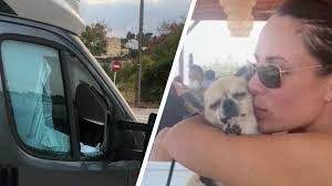 Linda Camper's Instagram, Twitter & Facebook