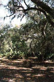 The Crypt--Floyd's Neck, Bellvue, & Fairfield--Camden County, Georgia