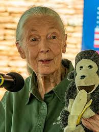 In Memory of Jane Goodall: Fun Facts About the Extraordinary Scientist