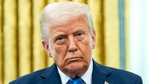 Democrats are trying to import voters to overwhelm the system to keep them  in power because the country is waking up to their agenda. The shut down is  their grasp for life