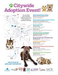 Ruff rescue tucson is a smaii grassroots foster based rescue organization dedicated to keeping homeiess dogs out of our aiready overcrowded sheiter system. Pima Animal Care Pimaanimalcare Twitter